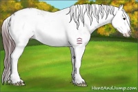 Horse Color:Chocolate Black Sabino Splash