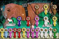 Horse Color:White Spotted Silver Bay Tobiano 