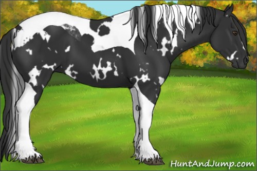 Horse Color:White Spotted Liver Chestnut Tobiano 