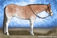 Horse Color:White Spotted Bay Roan Splash and White Spotted Bay Roan Splash