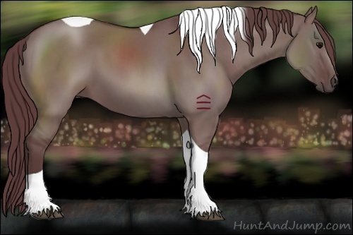 Horse Color:Chocolate Grullo Sabino Tobiano 