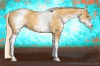 Horse Color:White Spotted Gold Cream Champagne 