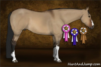 Horse Color:Gray Bay Dun