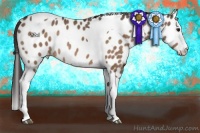 Horse Color:Bay Dun Splash Tobiano Near Leopard Rabicano 