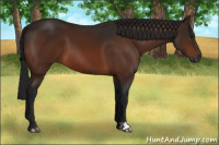 Horse Color:Gray Bay