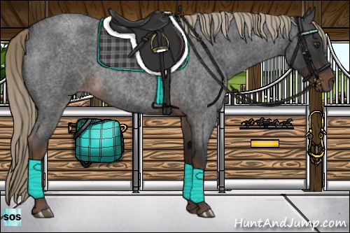 Horse Color:Liver Red Roan Rabicano 