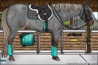 Horse Color:Liver Red Roan Rabicano