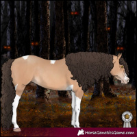 Horse Color:Amber Champagne Tobiano Rabicano