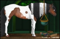 Horse Color:Brown Tobiano Rabicano