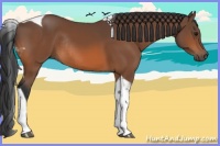 Horse Color:Bay Tobiano Rabicano 