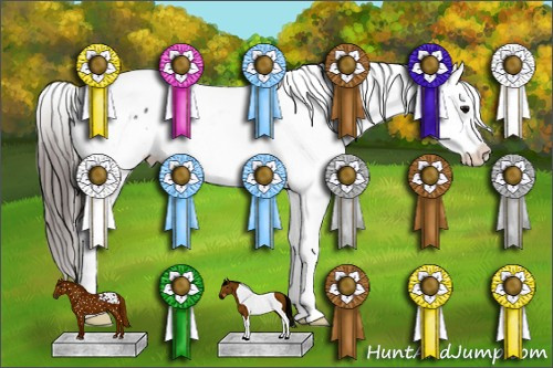 Horse Color:Black Tobiano Appaloosa 