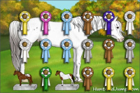 Horse Color:Black Tobiano Appaloosa 