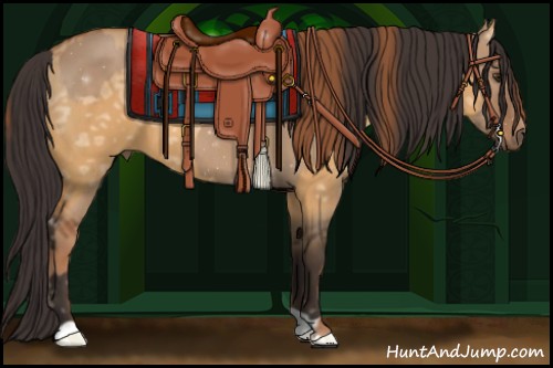 Horse Color:Red Dun  and Buckskin Ice Dun 