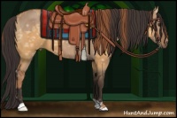 Horse Color:Red Dun and Buckskin Ice Dun