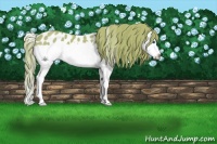 Horse Color:Watercolor Red Roan Splash Near Leopard 