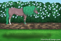 Horse Color:Gray Watercolor Bay 