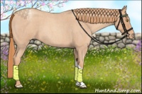 Horse Color:Gold Champagne Roan Appaloosa 
