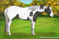 Horse Color:Smoky Black Splash Tobiano Snowcap