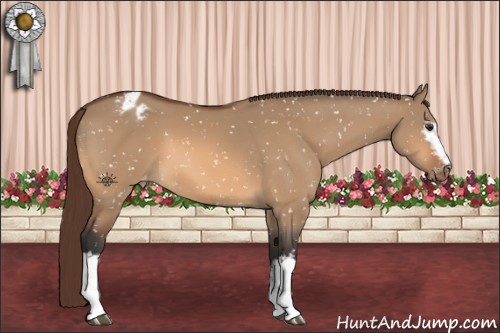 Horse Color:White Spotted Bay Dun Snowflake Varnish 