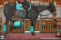 Horse Color:Liver Chestnut Rabicano