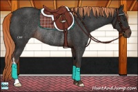 Horse Color:Liver Chestnut Rabicano 