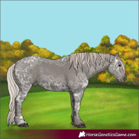 Horse Color:Silver Black Ice