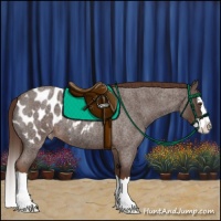 Horse Color:Liver Red Roan Splash Appaloosa 