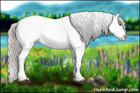 Horse Color:Silver Brown Appaloosa