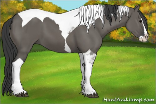 Horse Color:Grullo Splash Tobiano