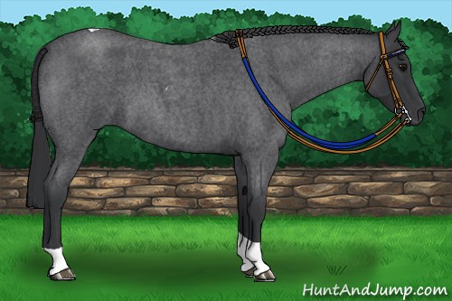 Horse Color:Blue Roan Tobiano 