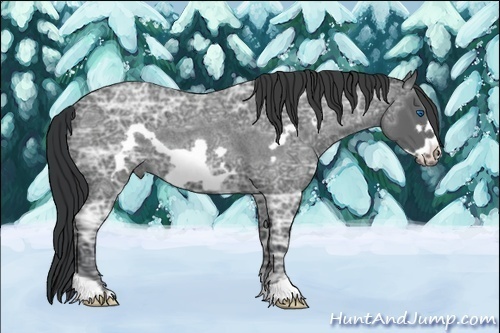 Horse Color:Blue Ice Roan Frame 