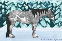 Horse Color:Blue Ice Roan Frame 