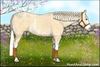 Horse Color:Palomino Ice Roan Splash 