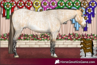 Horse Color:Perlino Roan and Buckskin Roan Frame