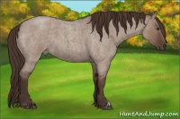 Horse Color:Liver Red Dun Roan 