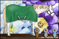 Horse Color:Buckskin Roan Pearl Splash 