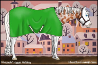 Horse Color:Silver Bay Splash Appaloosa 