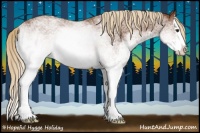 Horse Color:White Spotted Chestnut Splash