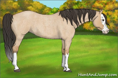 Horse Color:Bay Roan Dun Splash 