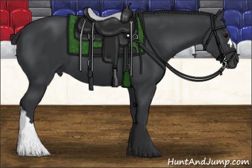 Horse Color:Black 