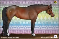 Horse Color:Brown Sabino 