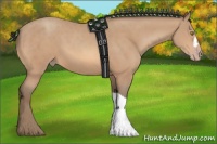 Horse Color:Amber Champagne 