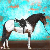 Horse Color:Bay Appaloosa Rabicano 