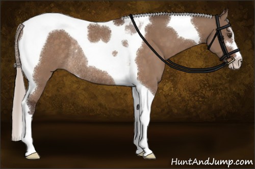 Horse Color:Silver Brown Dun Sabino Tobiano Rabicano 