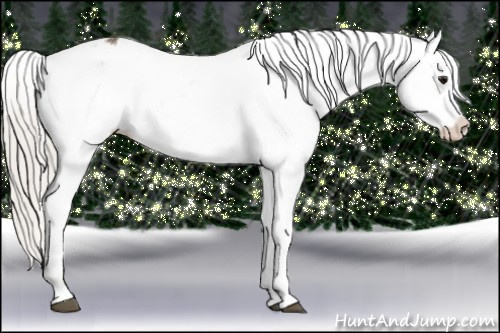 Horse Color:Silver Buckskin Snowflake Varnish