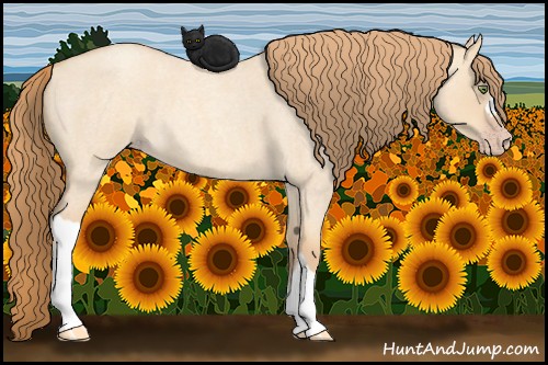 Horse Color:Gold Champagne Roan Dun 