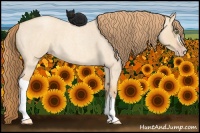 Horse Color:Gold Champagne Roan Dun 