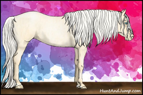 Horse Color:Silver Buckskin Roan Pearl  and Silver Buckskin Roan Pearl 