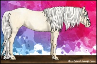 Horse Color:Silver Buckskin Roan Pearl  and Silver Buckskin Roan Pearl 