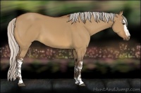Horse Color:White Spotted Silver Bay Dun 